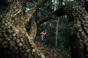 BIB: 
                            <button type="button" onclick="openModal(25393389)" class="btn btn-primary btn-sm float-right btn-popup" data-toggle="modal" data-target=".modal-high-quality">
                        <i class="fas fa-shopping-cart"></i> Add to Cart
                    </button>
                                            <button type="button" onclick="isThisMe(25393389, true)" class="btn btn-success btn-sm float-right btn-popup btn-isme hidden" data-toggle="tooltip" data-placement="bottom" title="นี่คือรูปของคุณใช่ไหม คลิกที่นี่เพื่อเอาเข้าอัลบั้ม">
                        <i class="fas fa-plus"></i> Add to album
                    </button>
                    <button type="button" onclick="isThisMe(25393389, false)" class="btn btn-warning btn-sm float-right btn-popup btn-isnotme hidden">
                        <i class="fas fa-ban"></i> Remove from album
                    </button>